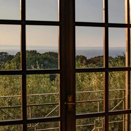 Georgina ゲストハウス