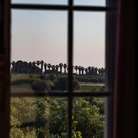 Georgina カタコロン