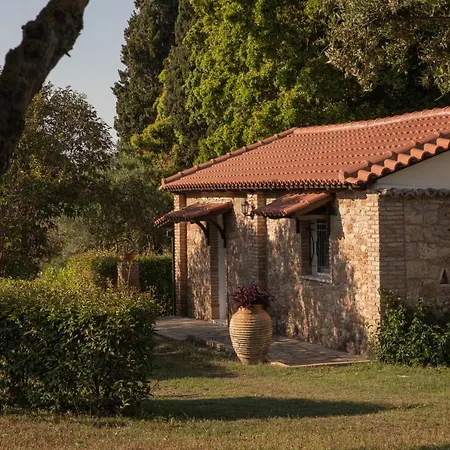 Georgina 카타콜론