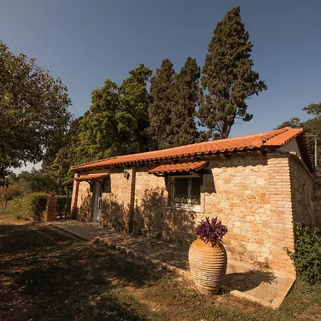 Guest house Georgina 4*