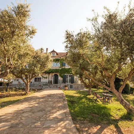 Georgina Guest house Pyrgos (Elis)