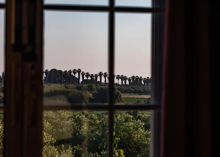 Georgina 카타콜론