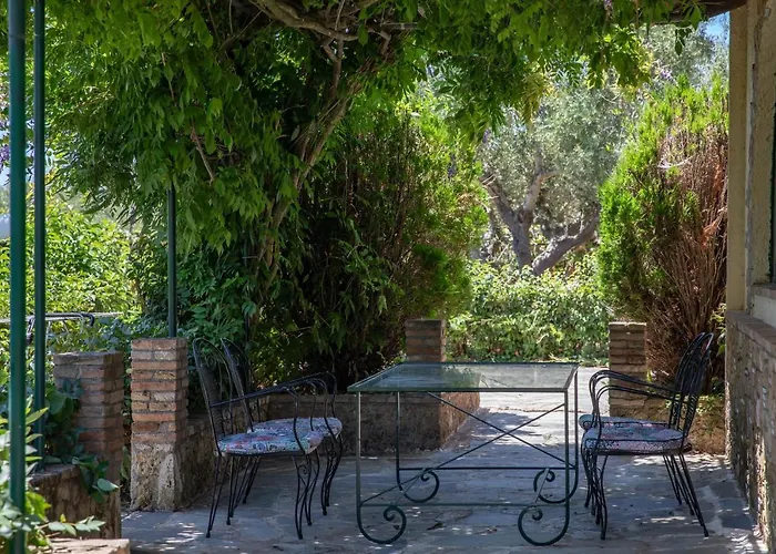 Georgina 카타콜론