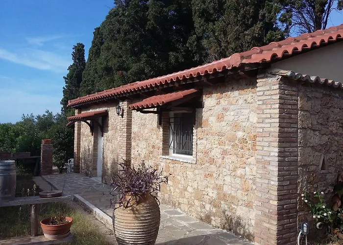 Georgina Guest house 4*